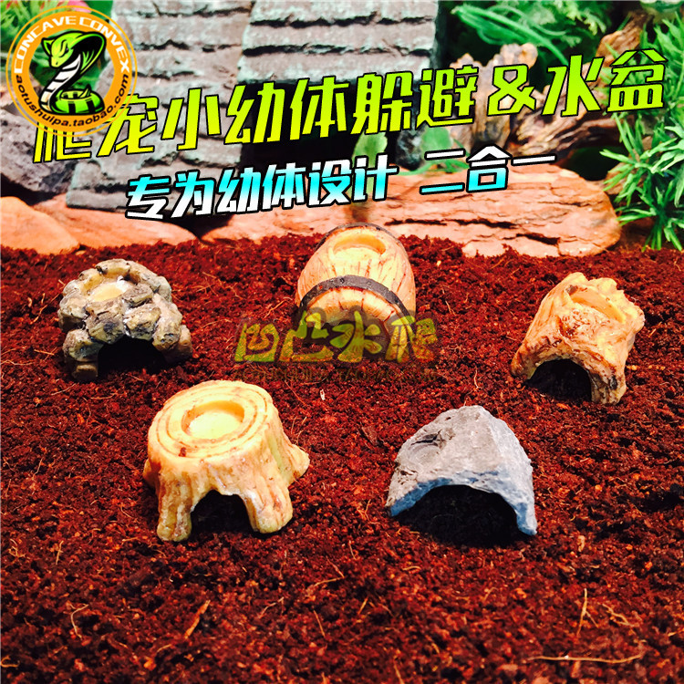 爬虫躲避带水盆 幼体火玫瑰蜘蛛爬宠缸/箱