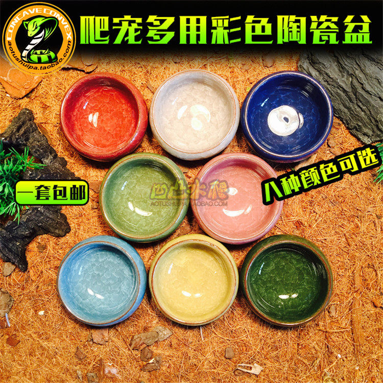 爬虫蝎子火玫瑰蜘蛛蜈蚣造景饮水爬宠缸/箱