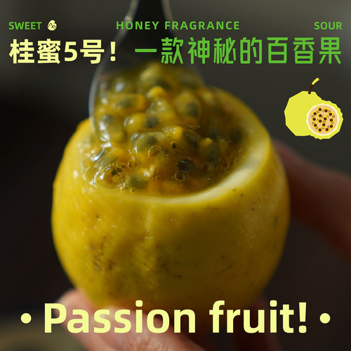 预【山纪生鲜】桂蜜5号 一款神秘的百香果