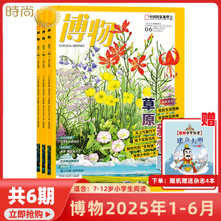 中国国家地理出品青少年版 水獭归来 9月起订全年订阅共12期 15岁 中小学生自然科普百科全书适合7 8月 博物杂志2025年1 椰子