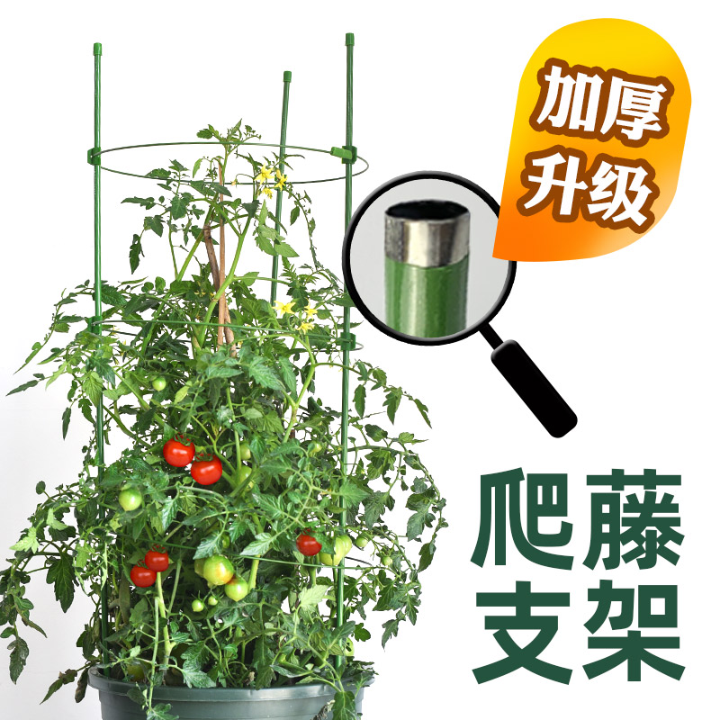 园艺爬藤支撑家用铁艺防倒伏花架