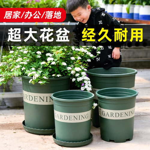 大加厚加仑盆种树落地绣球专用