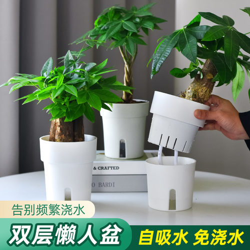 深邦懒人自动吸水花盆塑料桌面