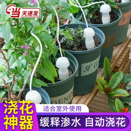 30天免浇水自动浇花神器