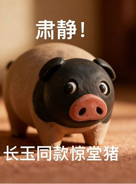 【咆哮公堂】逐玉同款猪