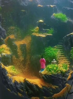 苔藓流沙微景观手工团建