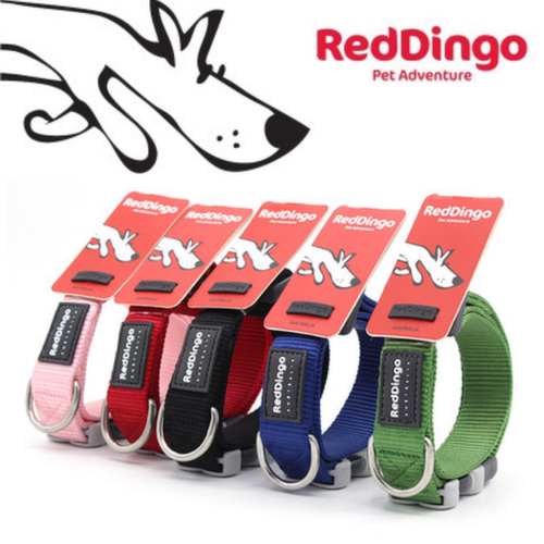 RedDingo狗项圈成幼犬可调节项圈狗项圈脖圈法斗柯基性价比高热卖
