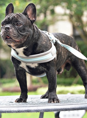 英国Hugo&Hudson狗狗胸背带可调节法斗大狗金毛泰迪遛狗不勒脖子