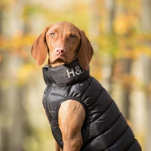 英国Hugo amp Hudson宠物衣服防寒冬天狗衣服英伦羽绒衣法斗柴犬