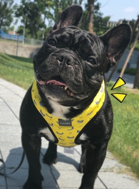 fuzzyard狗狗猫咪项圈可爱遛狗法斗柯基金毛舒适安全进口宠物用品