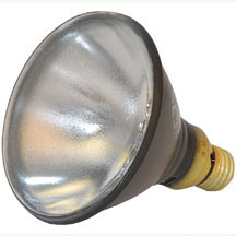 美国Spectronics公司Spectroline系列BLE-100S/M紫外灯泡100瓦