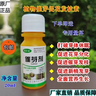 果树苗木催芽剂大樱桃发枝素苹果抽枝宝花芽素细胞分裂素花卉促芽