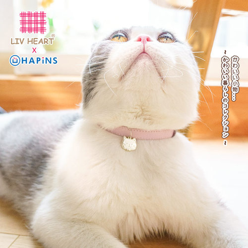 LIVHEART宠物安全扣项圈防勒巧轻便脖颈圈可调节猫咪配饰