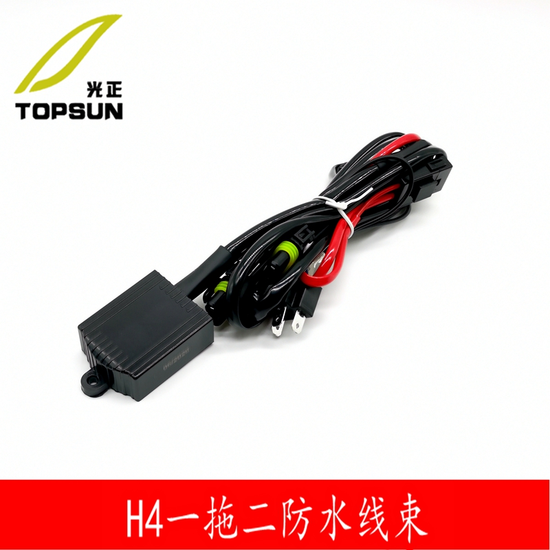H4一拖二线束双光透镜加强线