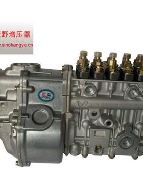 适用玉柴喷油泵南岳衡阳原装