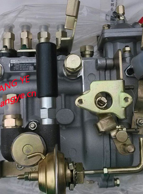 适用中兴皮卡高压油泵总成4PL289Q (可互换4PL212A) BHF4PL090202