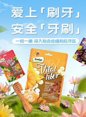 Dentalight洁齿骨磨牙棒狗狗零食宠物成犬幼犬磨牙零食解压训练