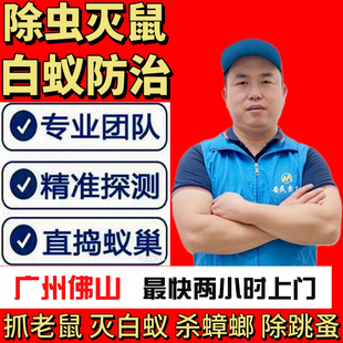 广州佛山白蚁防治上门灭白蚁除白蚁蚂蚁白蚁消杀预防灭蟑螂白蚂蚁