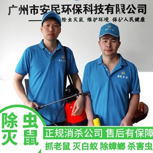广州佛山杀虫灭鼠上门除蟑螂专业灭白蚁抓老鼠灭跳蚤白蚁防治消杀