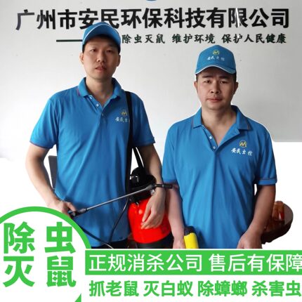 广州佛山杀虫灭鼠上门除蟑螂专业灭白蚁抓老鼠灭跳蚤白蚁防治消杀