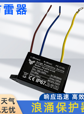 防雷器家用220V路灯电涌保护器暗装防雷防水电路安全微型避雷模块
