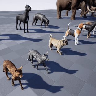 UE4虚幻5 Ultra Pack 写实各类动物合集动画 Animal