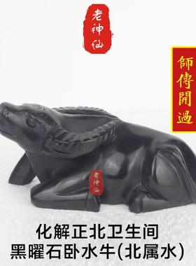 老神仙黑曜石卧牛水晶摆件