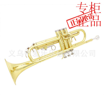 跨境SLADE黄铜小号降B调小号乐器