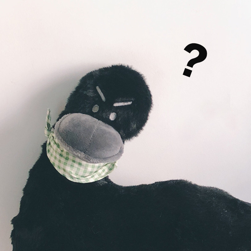 设计款可爱鸭子搞怪鸭鸭毛绒公仔沙雕玩偶沙发抱枕靠垫加油鸭礼物