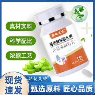 【重组脲酸氧化酶】芹菜亚麻籽片重组尿酸氧化酶片