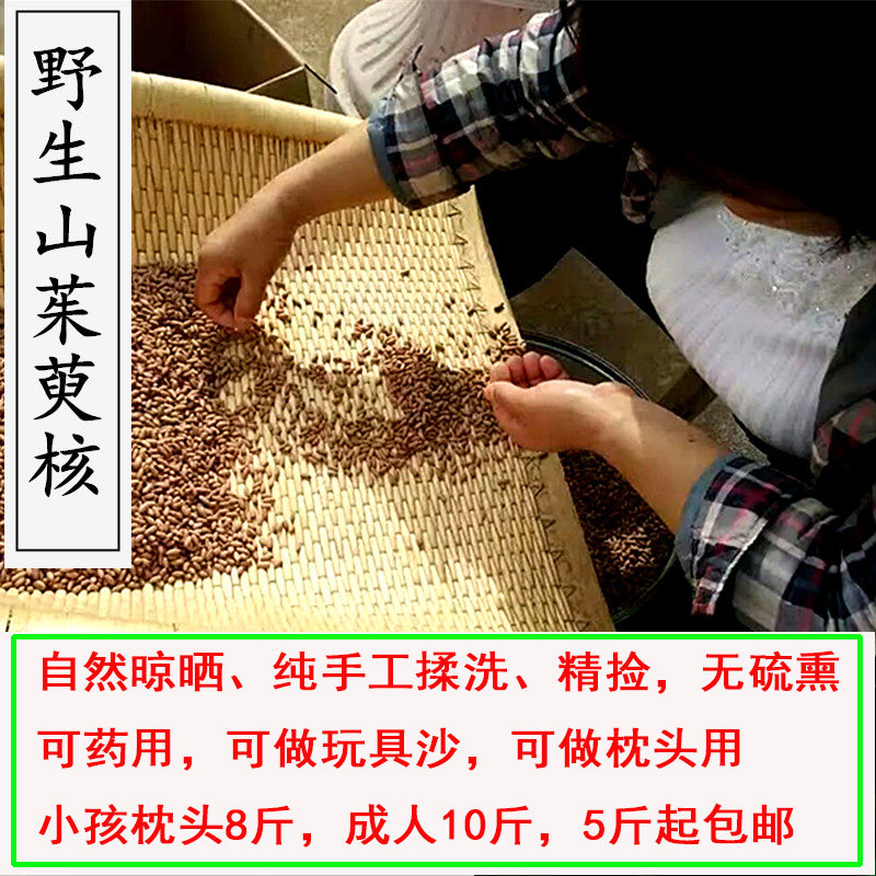 山茱萸山萸肉枣皮中药材果核可药用做保健枕头枕芯玩具沙5斤包邮