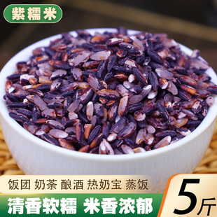 紫糯米5斤新货 云南农家自产血糯米黑糯米五谷杂粮紫大米粗粮粮油