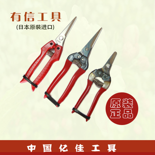 日本进口ARS爱丽斯修枝剪爱丽丝 平刃花椒葡萄园艺剪刀 采摘剪
