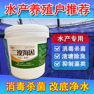 高效二溴海因片粉颗粒水产养殖专用消毒剂杀菌鱼塘虾蟹塘净水灭藻