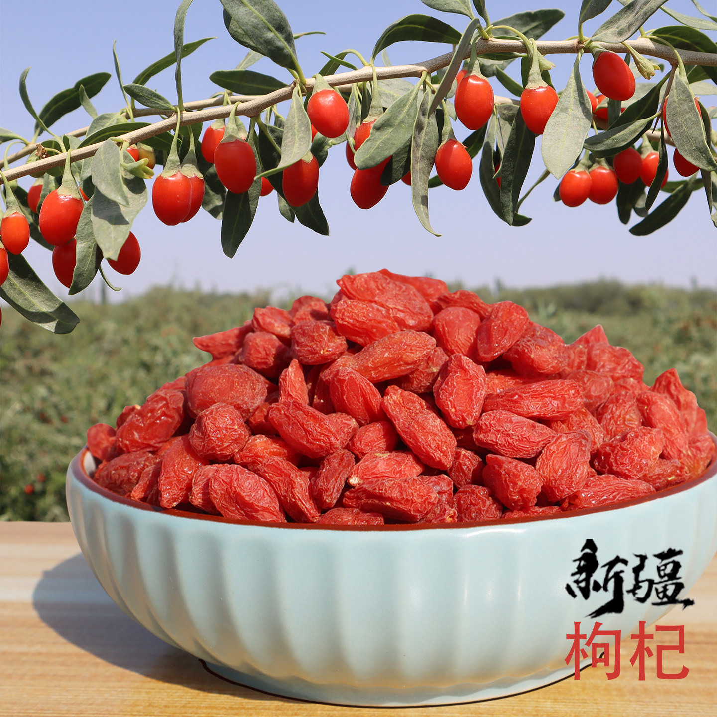 新疆红枸杞子无硫熏正宗精河大颗粒红枸杞泡水/泡茶/煲汤煮粥适用