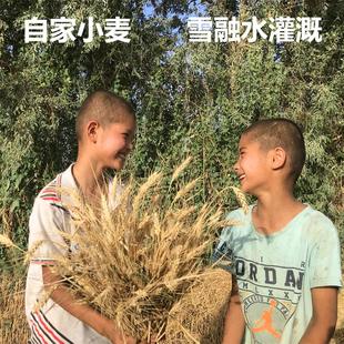 新疆自家小麦面粉 2500g/袋 劲道爽滑 麦香味十足