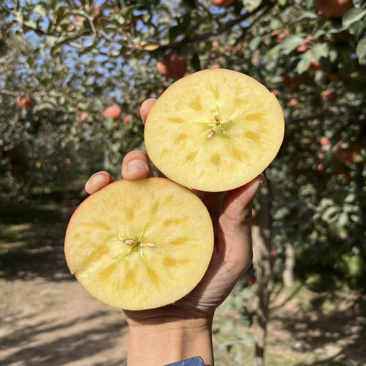 【8斤礼盒装】正宗新疆阿克苏冰糖心苹果果经90以上 产地直发