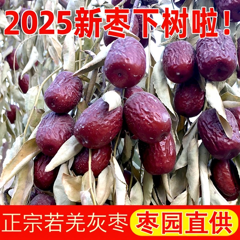25新枣 5斤特级若羌红枣正宗新疆特产红枣大灰枣吊干若羌灰枣零食