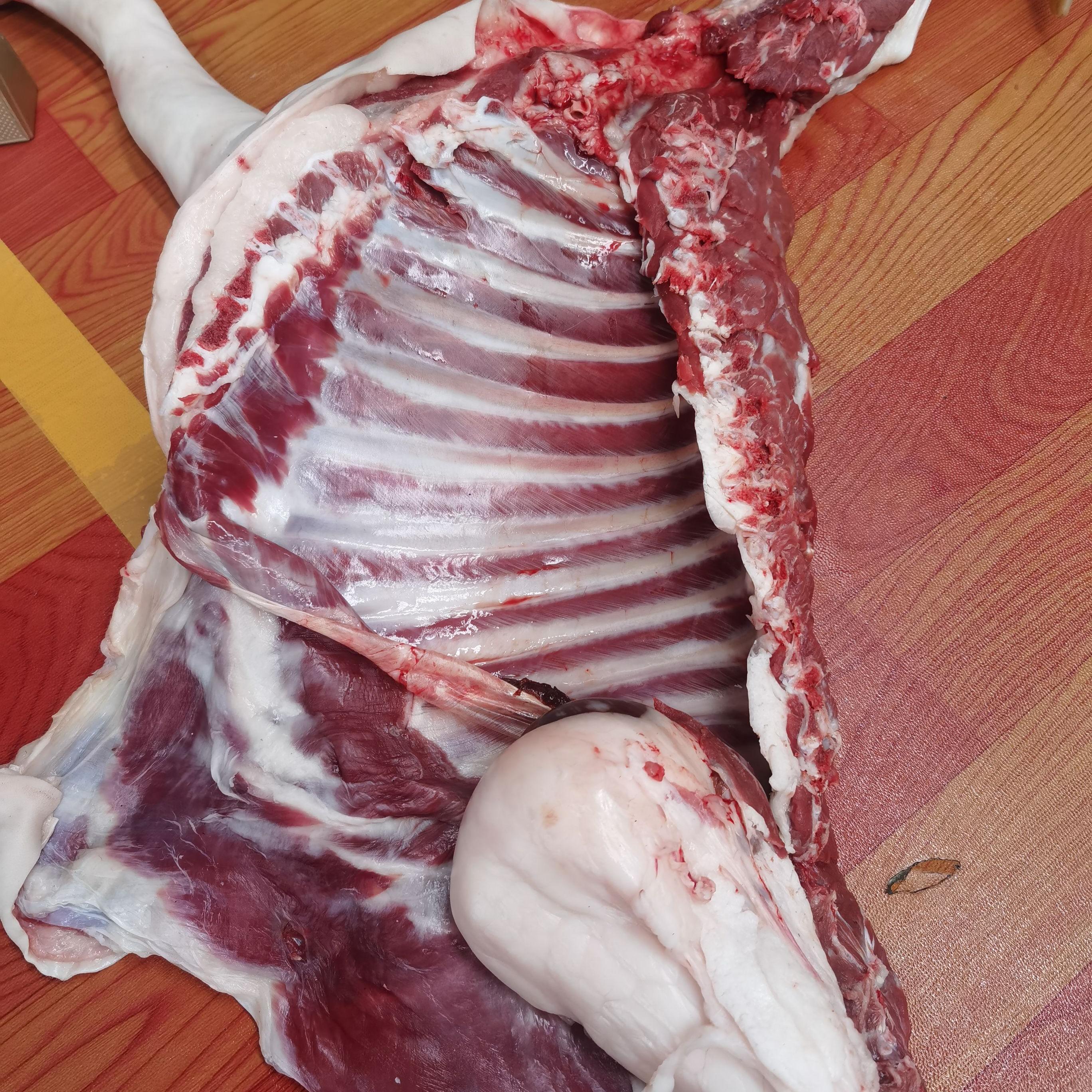 海门带皮山羊肉小耳朵草羊红烧白切热气羊腿羊排崇明山羊现杀现发