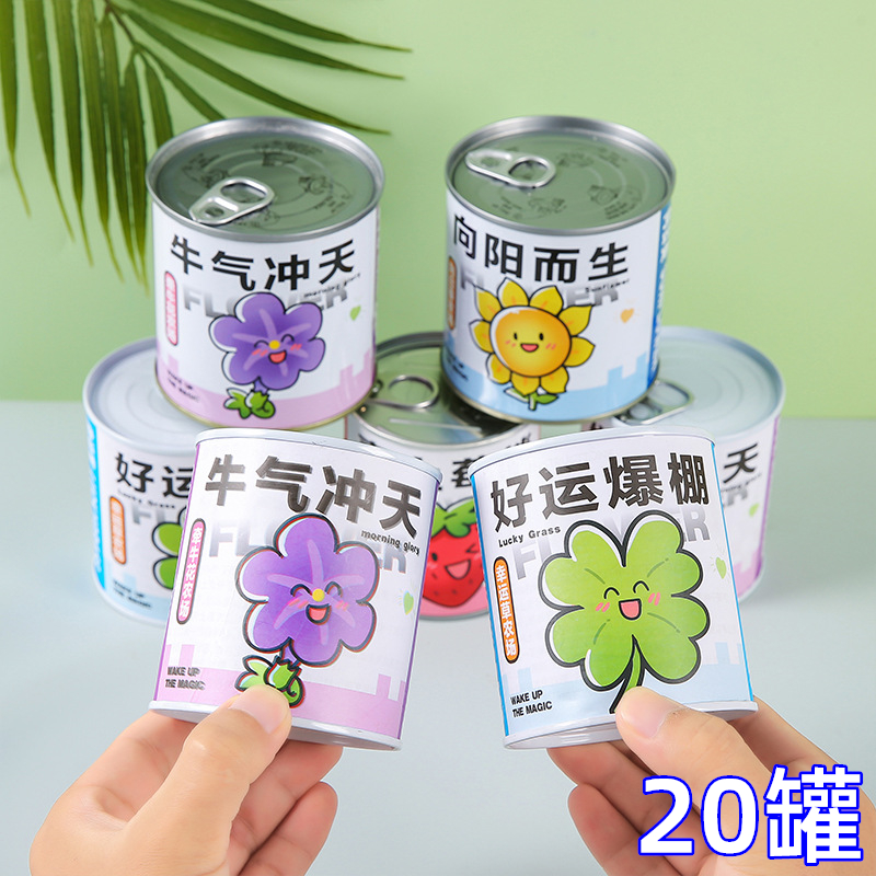 创意植物盆栽套装幼儿园小礼品全班分享奖励小学生奖品儿童小礼物