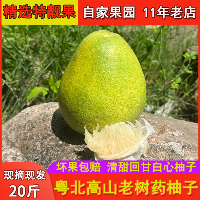 粤北高山中华小药柚子20斤白心