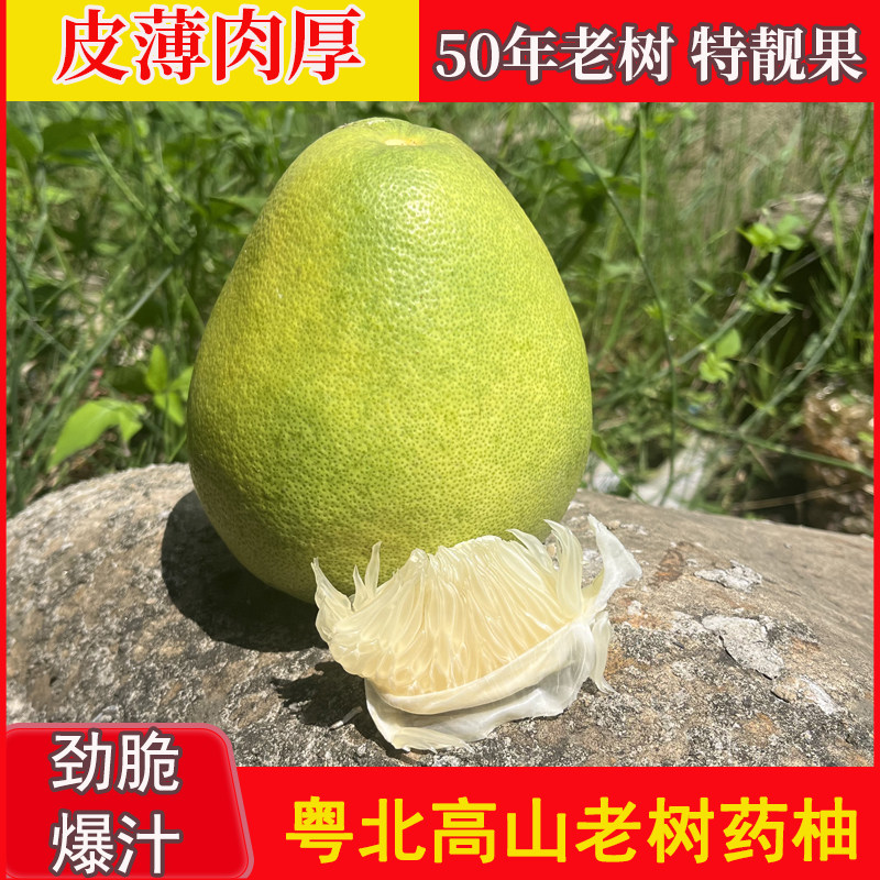 白心低糖中华药柚粤北高山药柚子