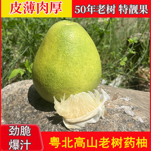 白心低糖中华药柚粤北高山药柚子