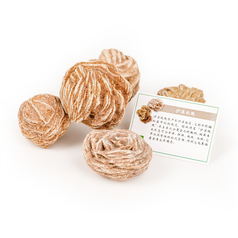 挖掘考古爱情石天然沙漠玫瑰原石标本观赏石摆件矿物花状灰岩奇石