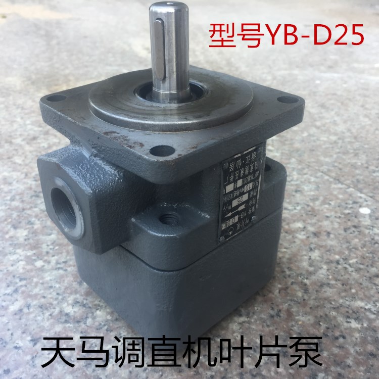 莆田天马调直机 GT4-14液压调直切断机叶片泵 油泵 YBD25