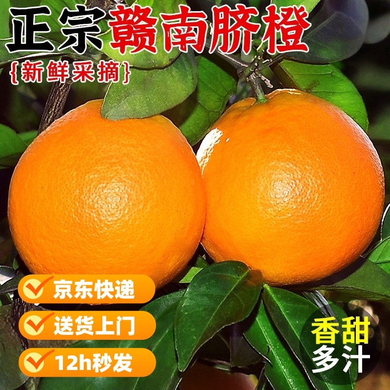 正宗赣南脐橙新鲜橙子当季水果手剥果冻橙子冰糖甜橙大果整箱包邮,水产肉类/新鲜蔬果/熟食,橙,淘宝优惠券,粉丝福利购,淘宝优惠卷