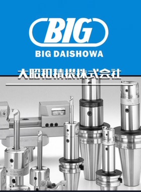 原装进口模具大昭和BIG刀片BRG250808 DS20  数控刀片