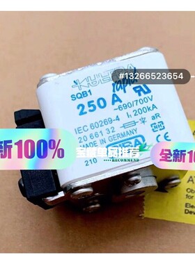 SIBA熔断器保险丝SQB2  IEC60269-4 IED咨询维修咨询维修