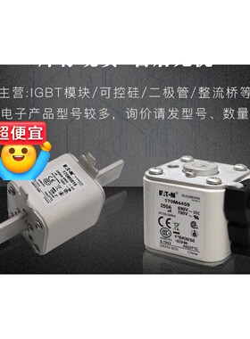 巴斯曼快速熔断器170M3018 170M3415 17咨询维修