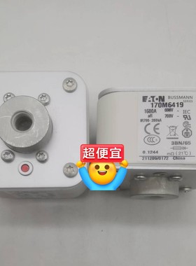 熔断器保险管保险丝170M7220 170M7221 170咨询维修咨询维修